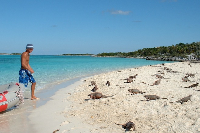 Allan's Cay
